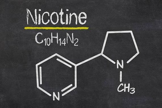 Schéma de la molécule de nicotine.